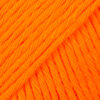 13 oranžinė Paris