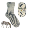 1205 zebras Regenwald