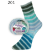 201 turkio žydruma Paint Socks