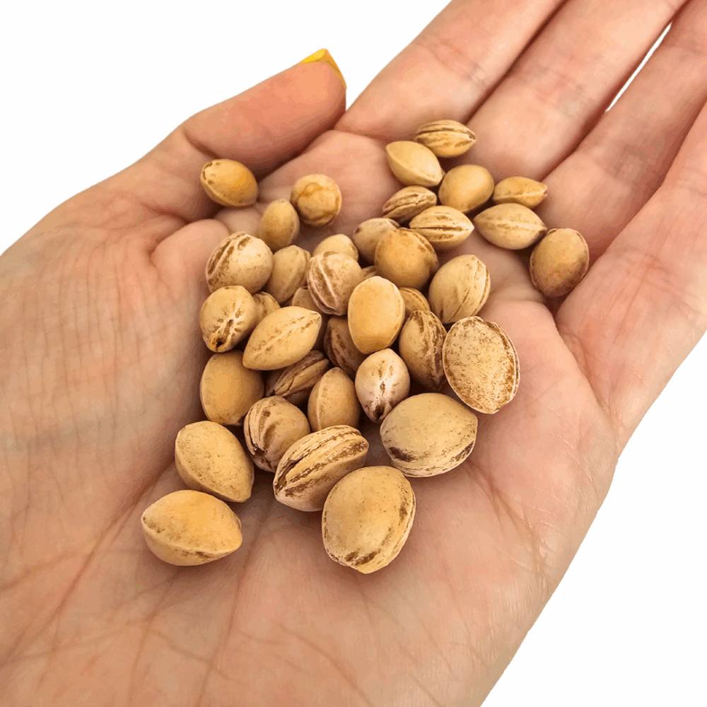 Vysniu kauliukai 500 g Rico Design naturalus vysniu kauliukai sildyklems zaisliukams rankdarbiams