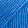 37 bluebird/mėlynoji paukštė Air Mix