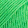 43 parrot green/papūgos žalia Air Mix