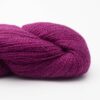 40 orchidėjos violetinė BabyAlpaca