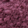 Prune slyva Alpaga Boucle