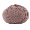 14624 nuvytusi rožė Super Soft