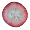 753 Whirl