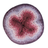 789 Whirl