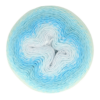 790 Whirl