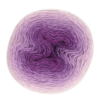 558 Whirl