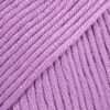 04 lelijų violetinė Muskat