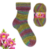 11683 Bouquet Mouline