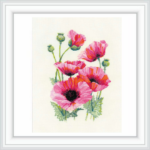 Riolis 1775 rozines aguonos Pink poppies siuvineimo rinkinys pradedantiesiems siuvinejimo rinkinys